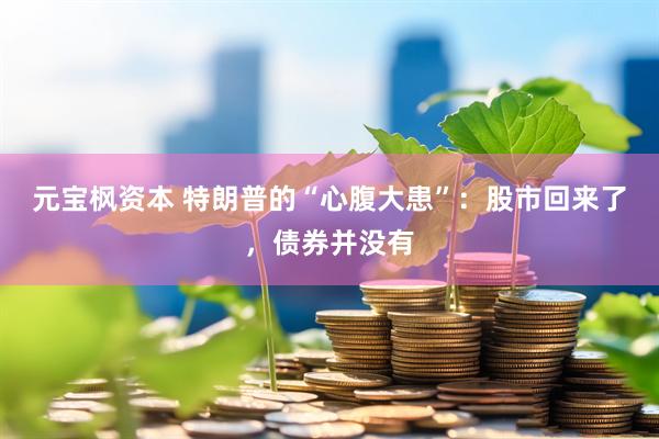 元宝枫资本 特朗普的“心腹大患”：股市回来了，债券并没有