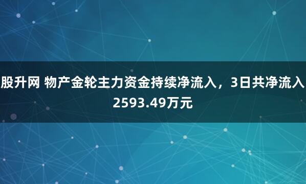 股升网 物产金轮主力资金持续净流入，3日共净流入2593.49万元