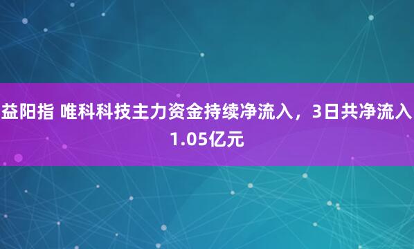 益阳指 唯科科技主力资金持续净流入，3日共净流入1.05亿元