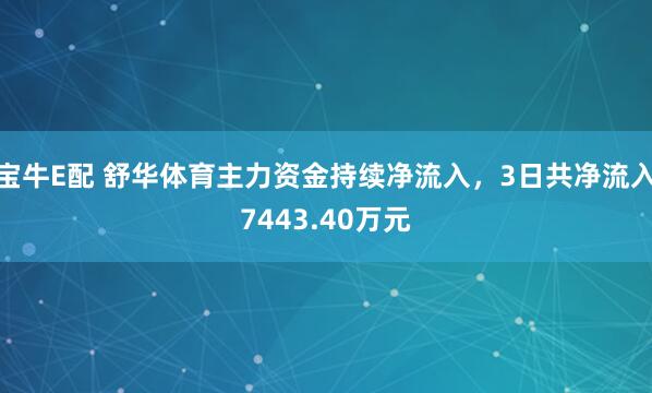 宝牛E配 舒华体育主力资金持续净流入，3日共净流入7443.40万元