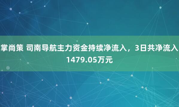掌尚策 司南导航主力资金持续净流入，3日共净流入1479.05万元