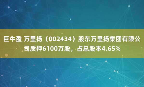 巨牛盈 万里扬（002434）股东万里扬集团有限公司质押6100万股，占总股本4.65%