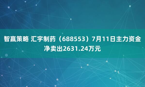 智赢策略 汇宇制药（688553）7月11日主力资金净卖出2631.24万元