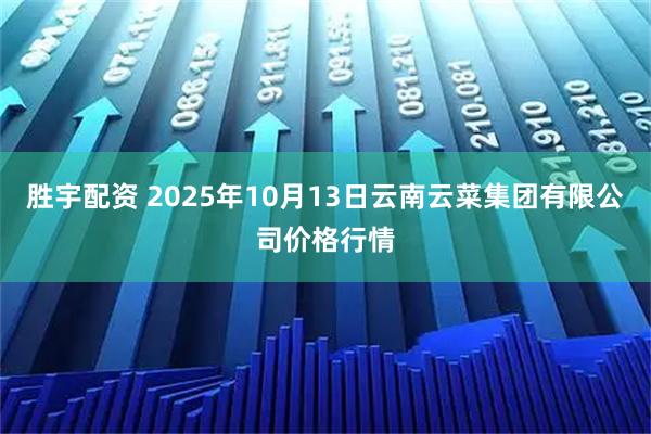 胜宇配资 2025年10月13日云南云菜集团有限公司价格行情