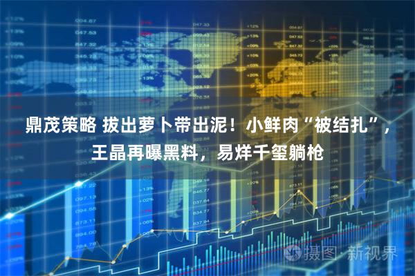 鼎茂策略 拔出萝卜带出泥！小鲜肉“被结扎”，王晶再曝黑料，易烊千玺躺枪